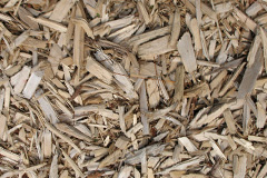biomass boilers Ryme Intrinseca